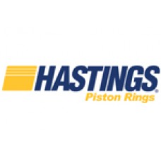 HASTINGS PISTON RING